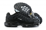 2023.10 Nike Air Max AAA TN Men Shoes-FX (80)