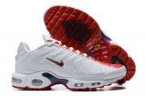 2023.10 Nike Air Max AAA TN Men Shoes-FX (140)