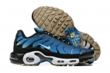 2023.10 Nike Air Max AAA TN Men Shoes-FX (152)
