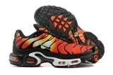2023.10 Nike Air Max AAA TN Men Shoes-FX (182)