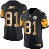 Men's Nike Pittsburgh Steelers #81 Jesse James Limited Black/Gold Rush Vapor Untouchable NFL Jersey