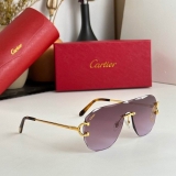 2023.12 Cartier Sunglasses Original quality-QQ (1127)