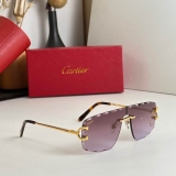 2023.12 Cartier Sunglasses Original quality-QQ (1120)