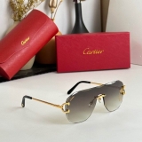 2023.12 Cartier Sunglasses Original quality-QQ (1124)