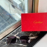 2023.12 Cartier Sunglasses Original quality-QQ (1201)