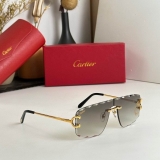 2023.12 Cartier Sunglasses Original quality-QQ (1116)