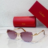 2023.12 Cartier Sunglasses Original quality-QQ (1308)