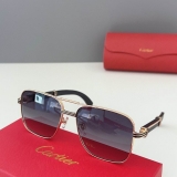 2023.12 Cartier Sunglasses Original quality-QQ (1399)