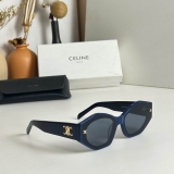 2023.12 Celine Sunglasses Original quality-QQ (519)