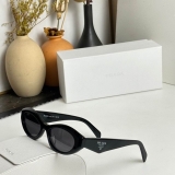 2023.12 Prada Sunglasses Original quality-QQ (2177)