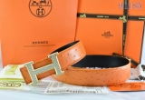 2023.12 Hermes Belts AAA Quality 95-125CM -WM (65)