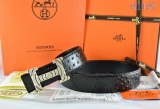 2023.12 Hermes Belts AAA Quality 95-125CM -WM (66)