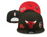 2024.3 NBA Snapbacks Hats-YD (289)