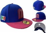 2024.3 MLB Hats-LX (307)