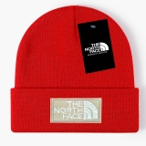 2024.3 The North Face Beanies-GC (85)