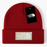 2024.3 The North Face Beanies-GC (77)
