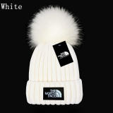 2024.3 The North Face Beanies-GC (93)