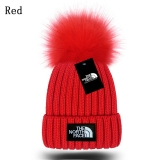 2024.3 The North Face Beanies-GC (94)