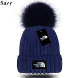 2024.3 The North Face Beanies-GC (91)